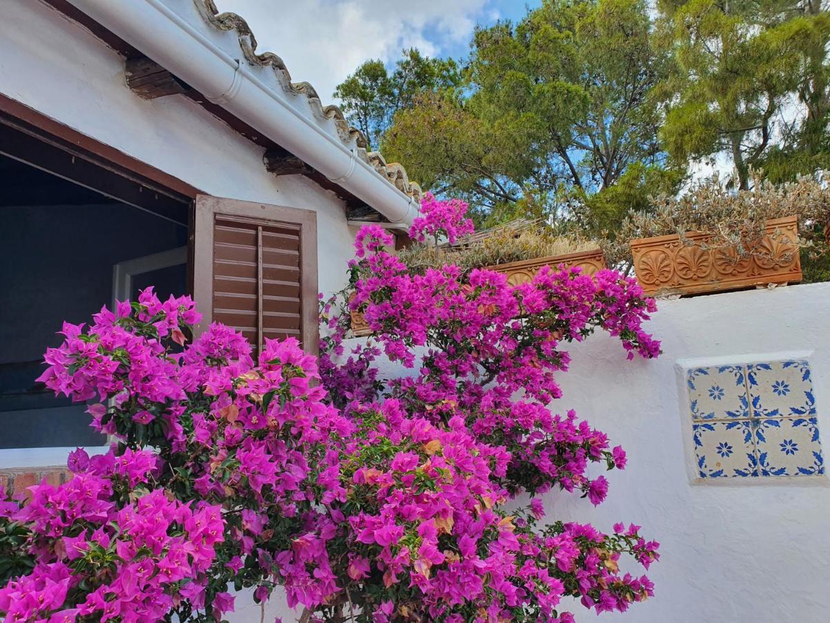 Villa Tonnara San Vito Lo Capo Exteriör bild